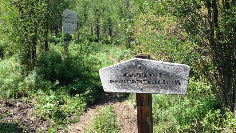  two trail signs in the lush green forest of White Mountain Wilderness. One signpost indicates directions to “Nogal Trail No. 48” and “Tortolita Canyon Trail No. 54 1/4”, and another sign reads “White Mountain Wilderness”