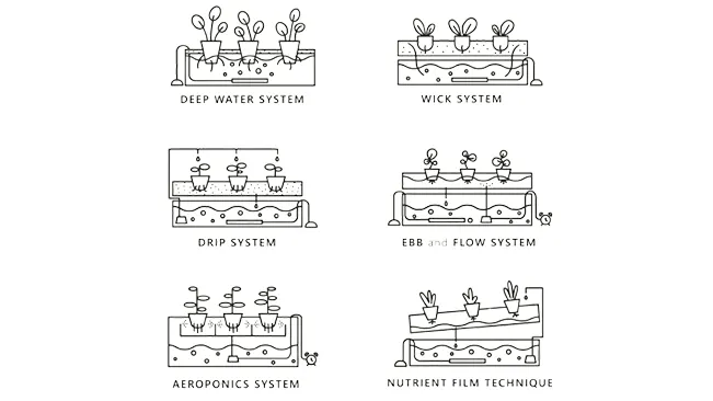 Several Types of Hydroponics