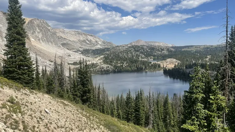 scenic view of Medicine Bow–Routt National Forest, featuring a serene lake surrounded by lush greenery and rugged mountains