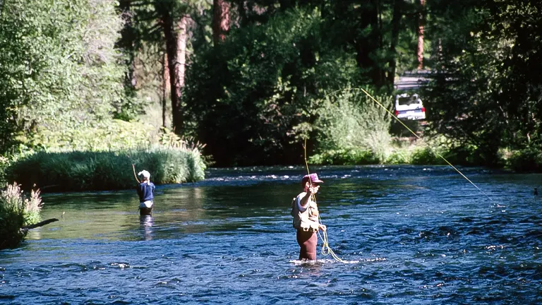 Fishing