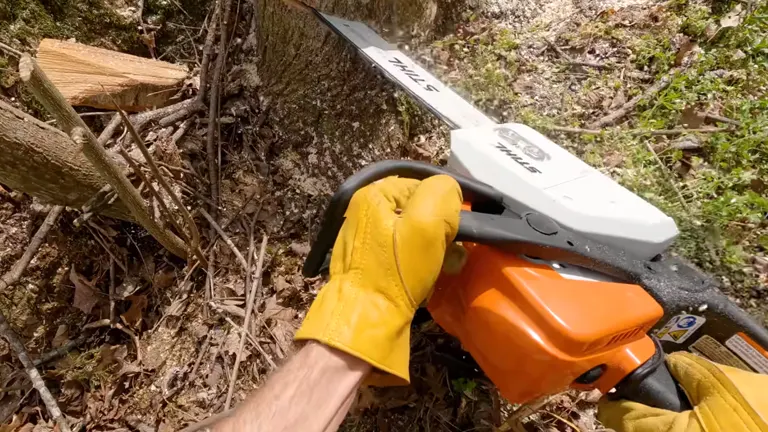 STIHL MS 170 Chainsaw Power and Efficiency