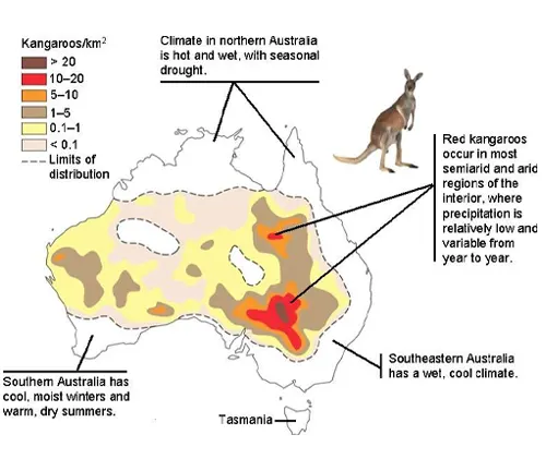 Red Kangaroo Geographic Distribution