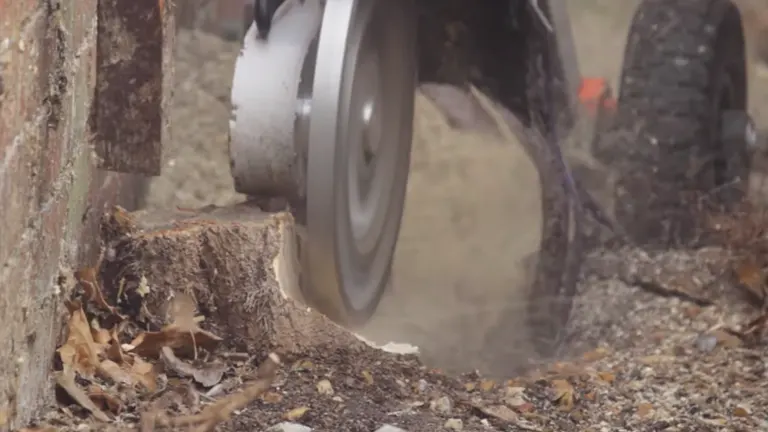 Active chainsaw stump grinder reducing a tree stump in an outdoor setting