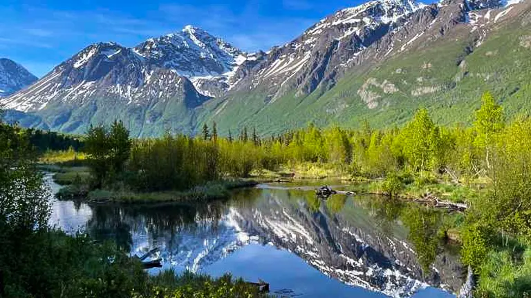 Unique Ecosystem of Chugach State Park