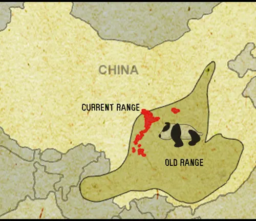 Native Regions of Giant Pandas