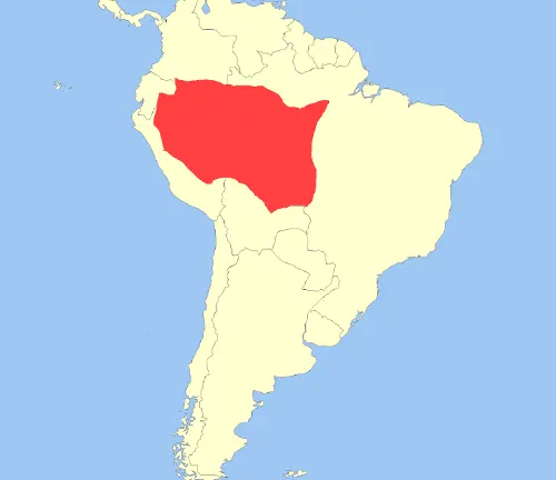 Simplified map of South America, highlighting in red the geographic distribution of Capuchin Monkeys, primarily centered in Brazil