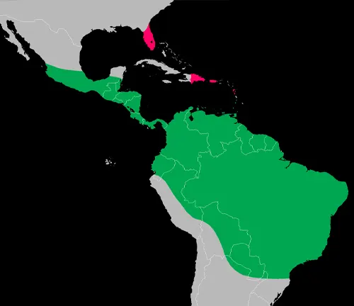 simplified map of Central and South America, with the distribution area of a species highlighted in green and specific habitats in pink