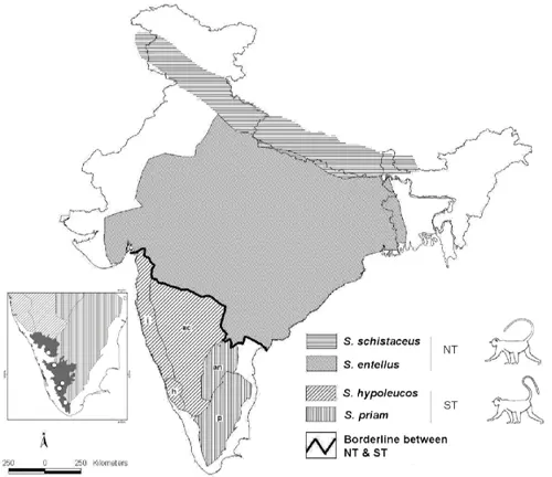 Langurs Monkey - Habitat and Distribution