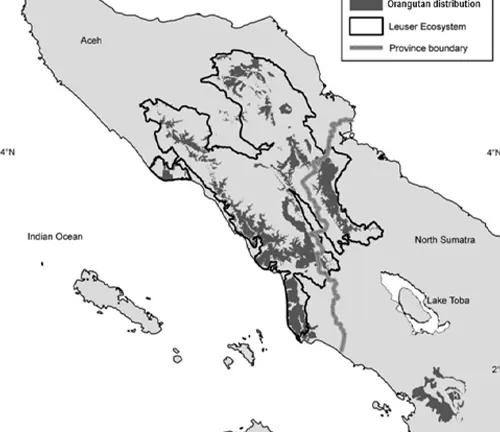 Map of North Sumatra showing orangutan distribution and the Leuser Ecosystem