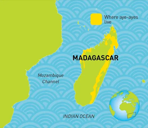 Map highlighting the habitat and distribution of Aye-Aye Lemurs in Madagascar