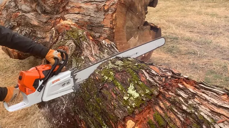 Person using a STIHL MS 881 Magnum Chainsaw to cut a large, moss-covered log