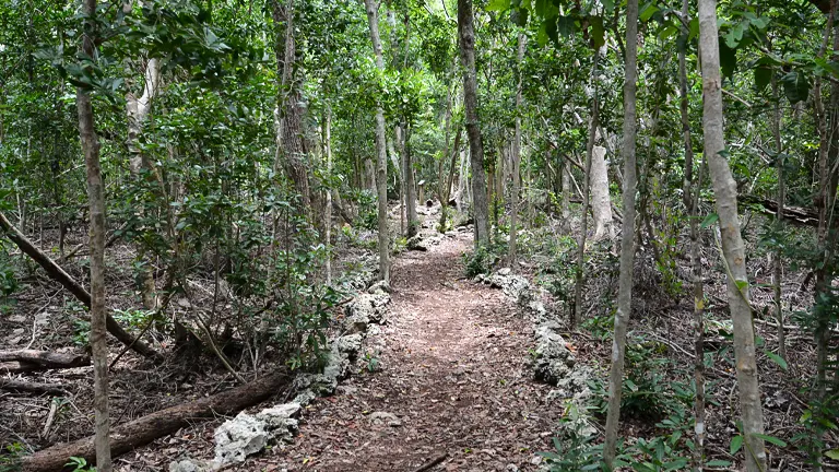 Wild Tamarind Trail