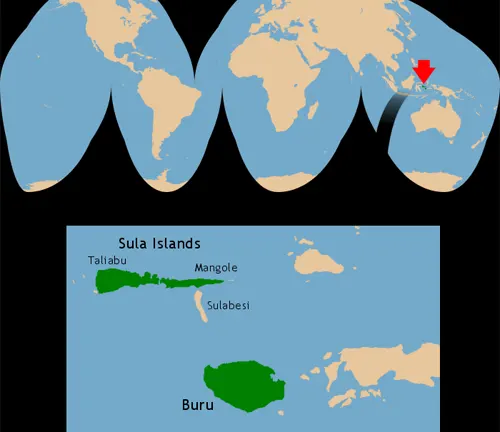 The Range and Habitat of Babirusas