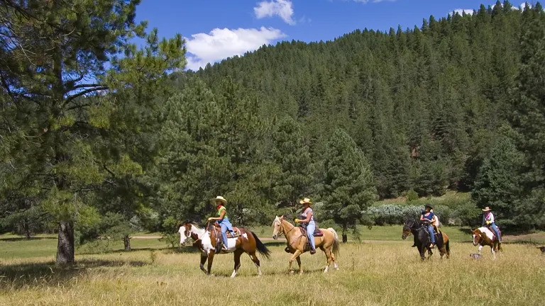 group of people enjoying a horseback ride through the lush green pine trees of Lincoln National Forest on a clear day