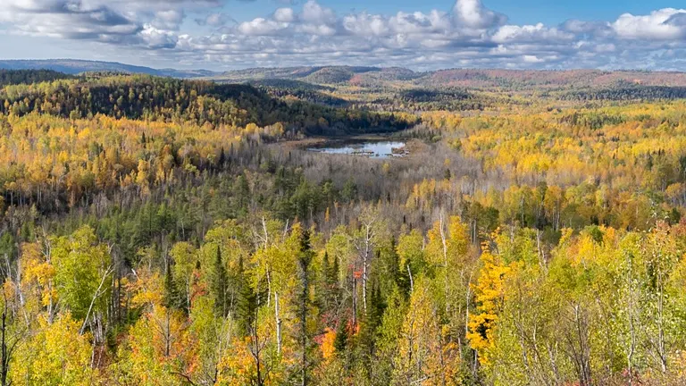 Unique Ecosystem of Superior National Forest