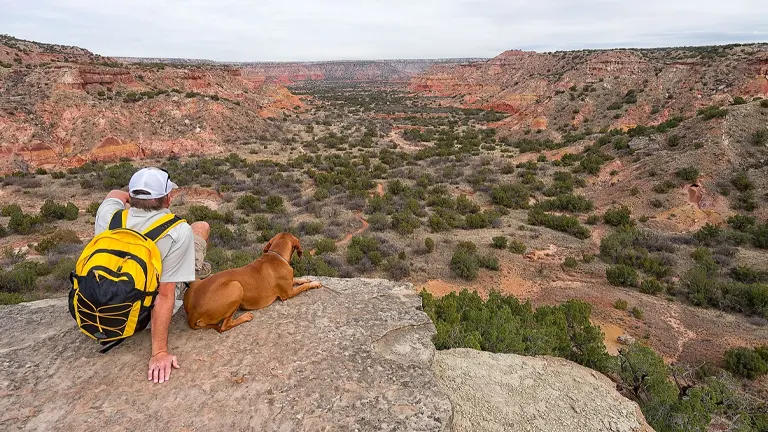  A person with a yellow backpack and a dog are sitting side by side on the rocky edge of the canyon