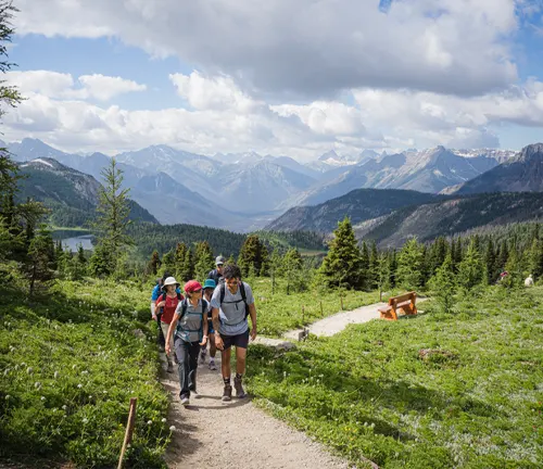 Hikers on a trail amidst lush greenery with a backdrop of majestic mountains