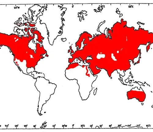 World map highlighting the geographic range of the Red Fox