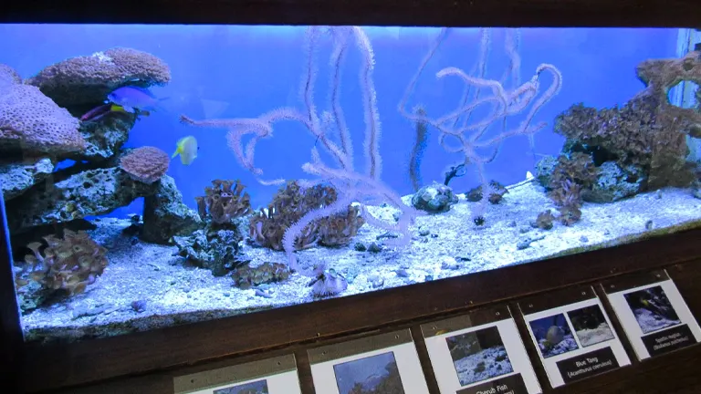 Visitor Center and Saltwater Aquarium