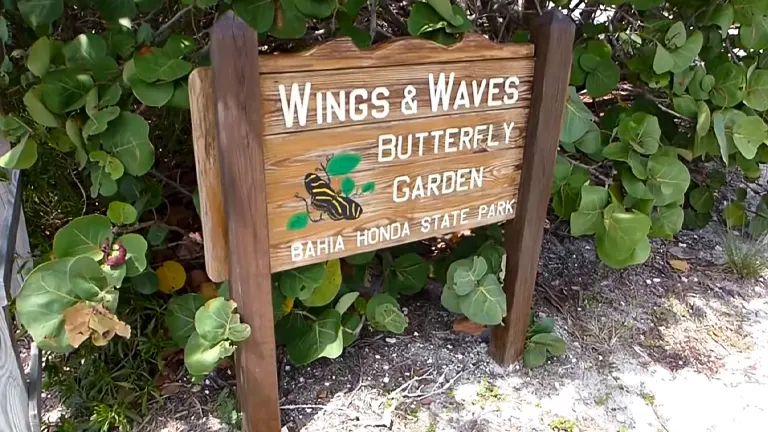 Butterfly Garden Exploration