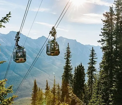 Cable cars ascending a mountain surrounded by lush greenery and majestic mountains