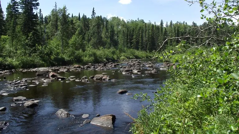 The Importance of Conservation and Recreation in Superior National Forest