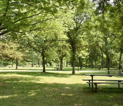 Picnic Areas and Playgrounds