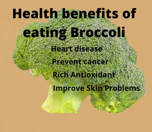 a large, fresh broccoli floret prominently displayed against a beige background