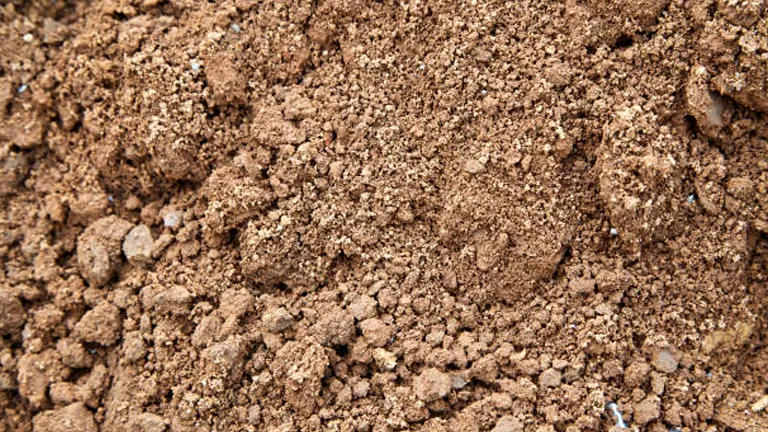 Close-up view of coarse, sandy soil suitable for raised bed vegetable gardens