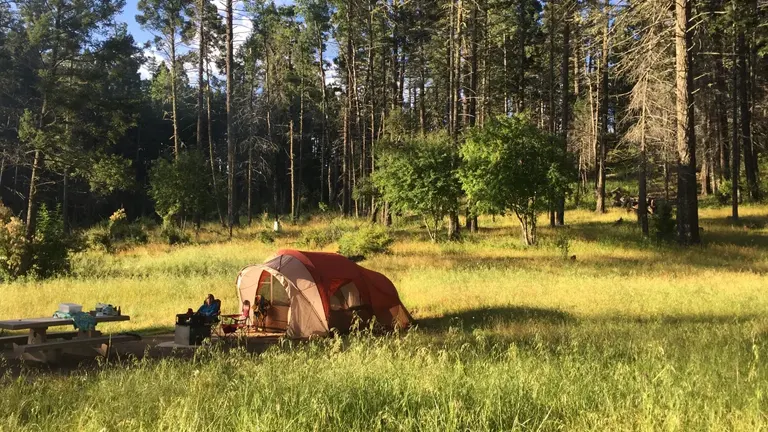 Tent and camping gear set up in a sunny forest clearing