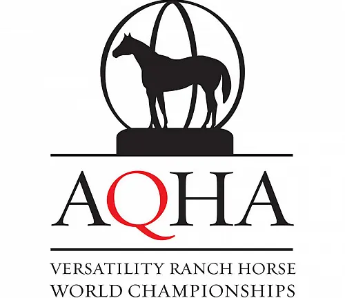 American Quarter Horse