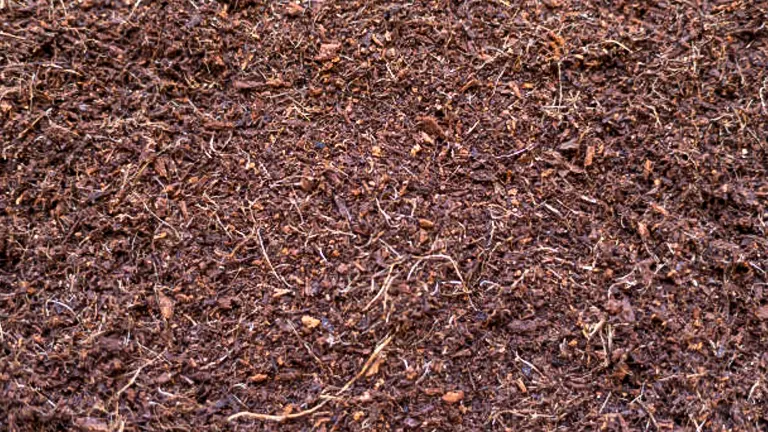 Close-up of rich, textured soil ideal for a raised bed vegetable garden