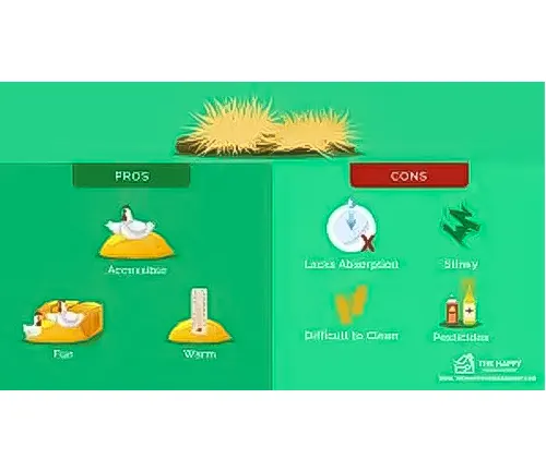 infographic highlighting the pros and cons of straw bedding for chickens