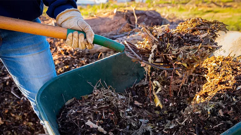 A person wearing gloves is using a rake to add mulch into a green wheelbarrow