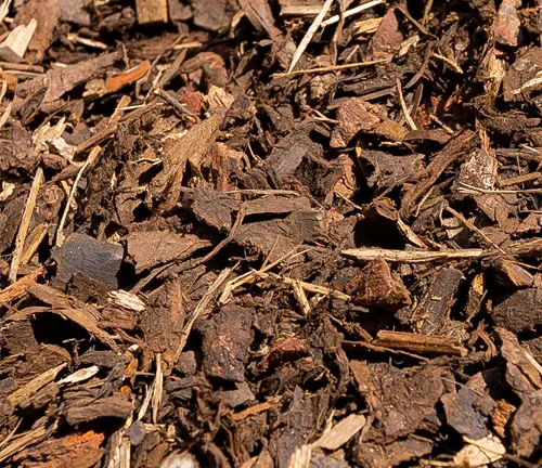 Close-up view of dark brown bark mulch