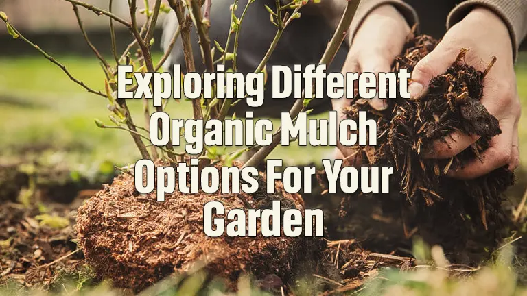 Exploring Different Organic Mulch Options for Your Garden