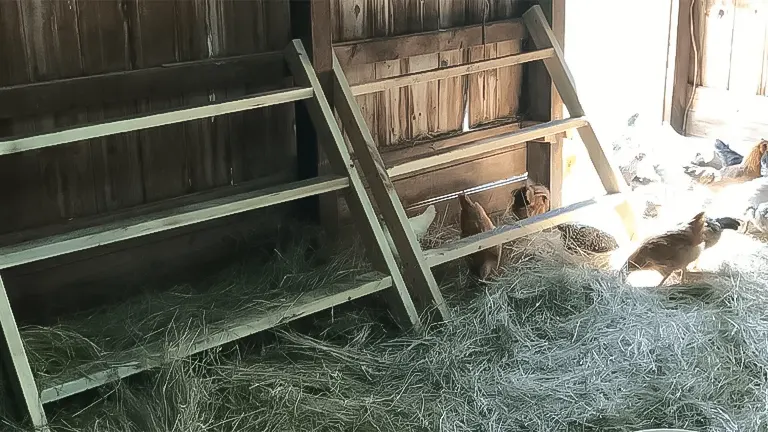 Nesting Boxes and Roosting Bars