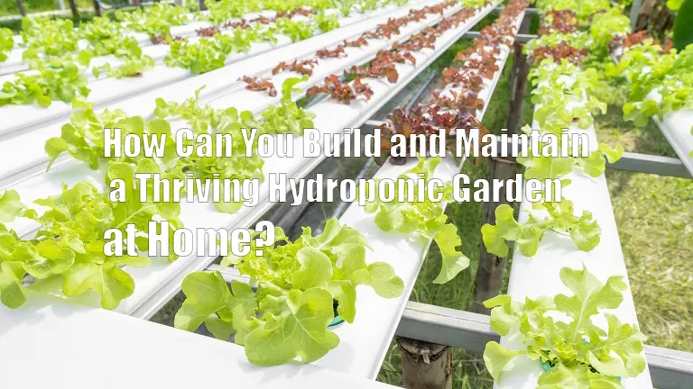 How Can You Build and Maintain a Thriving Hydroponic Garden at Home?