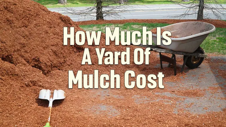 How Much Is a Yard of Mulch Cost?