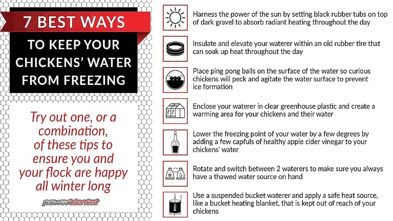 7 best ways to keep your chickens water from freezing