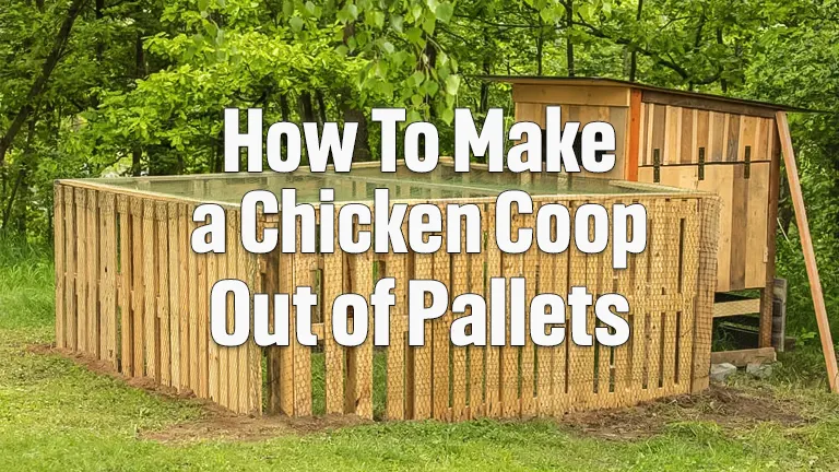 How to Make a Chicken Coop Out of Pallets