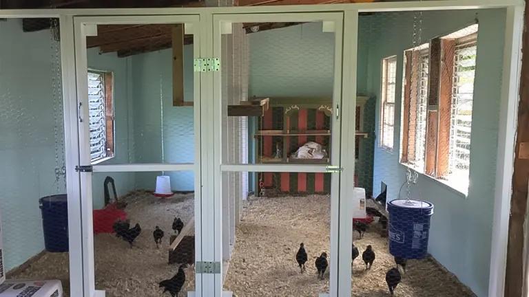 Renovated shed turned into a spacious chicken coop