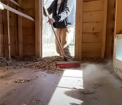 Person sweeping a wooden shed for chicken coop conversion