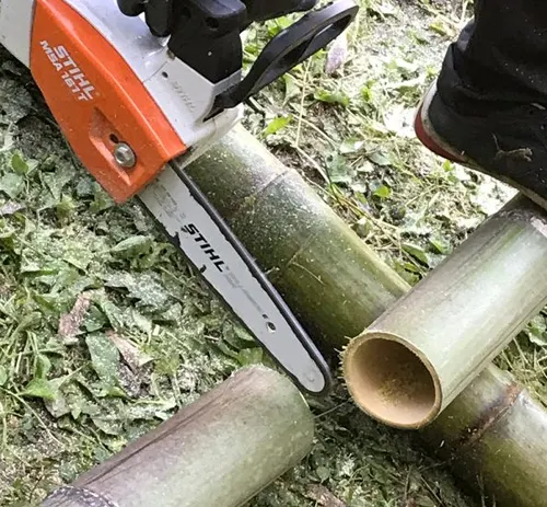 Chainsaws for 5" or More