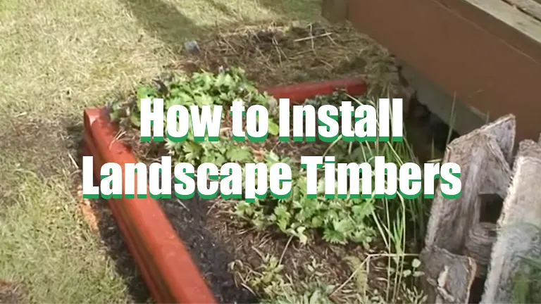 How to Install Landscape Timbers