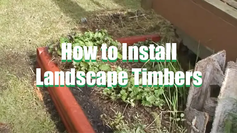 How to Install Landscape Timbers - Forestry Reviews