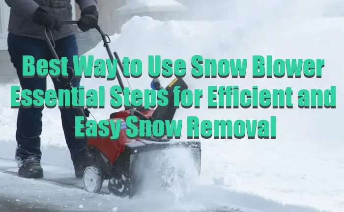 Snow Blower Reviews