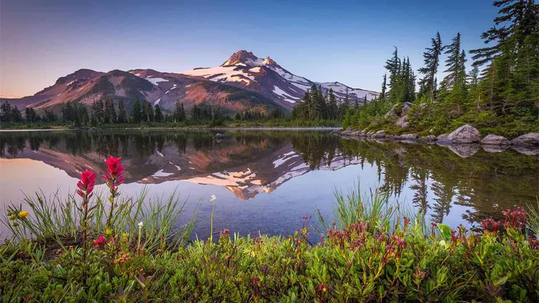 Willamette National Forest