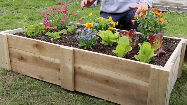 How to Shield Garden Bed Wood: Effective Protection Strategies image
