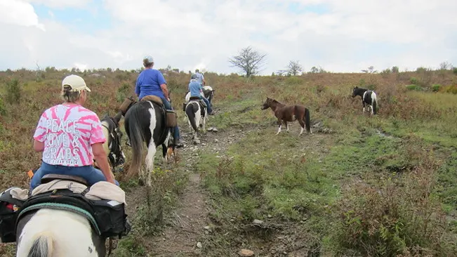 Equestrian Trails